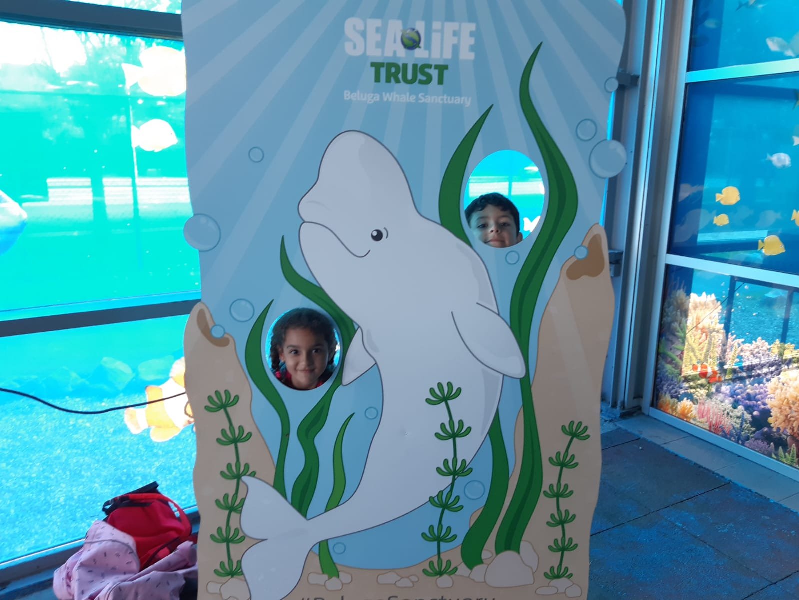 img-20230914-wa0029