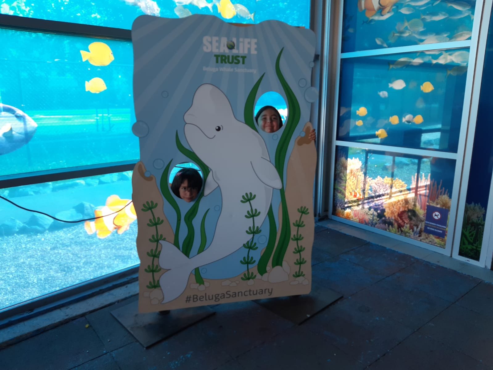 img-20230914-wa0036
