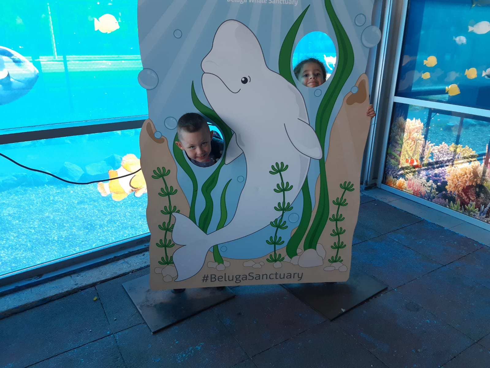 img-20230914-wa0039