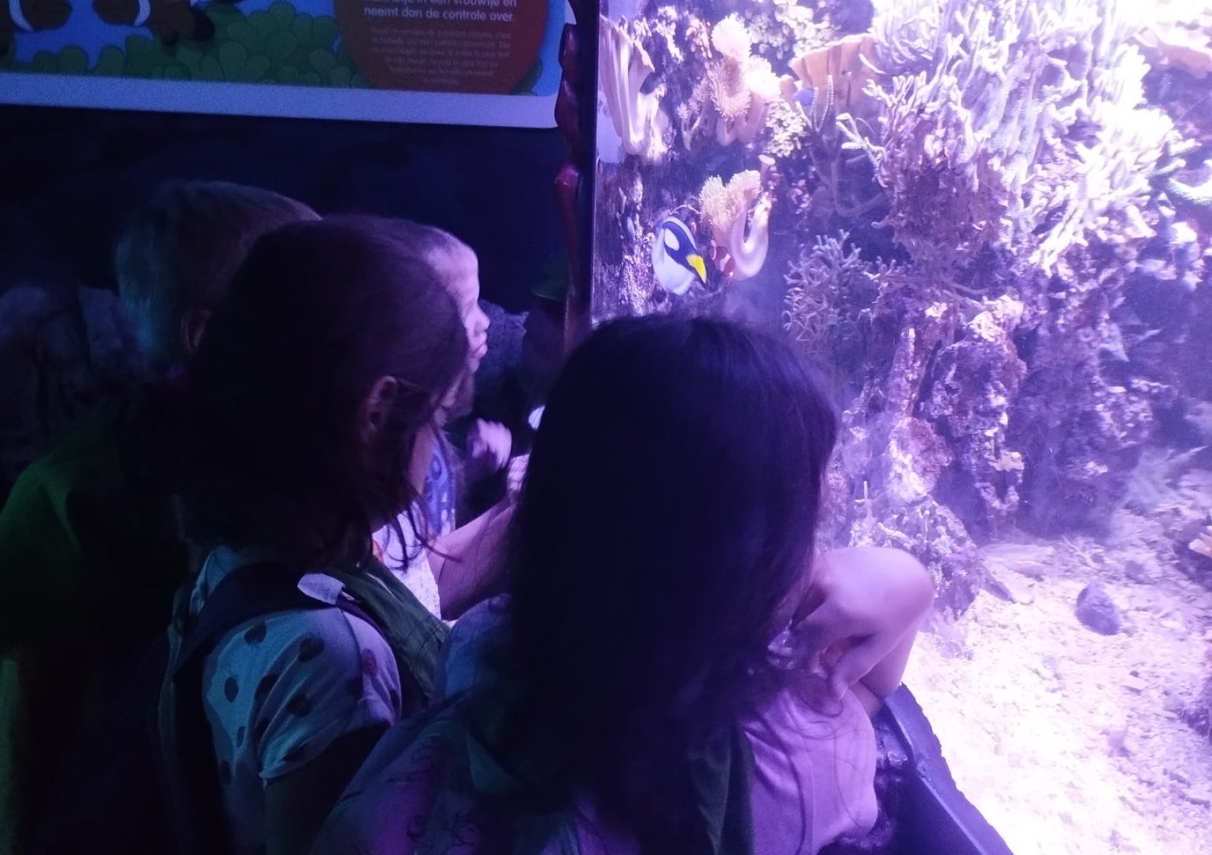 img-20230914-wa0170