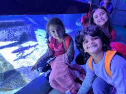 img-20230914-wa0141