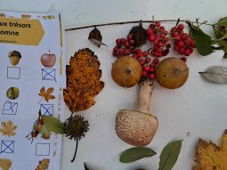 Arcimboldo chez les Loups 