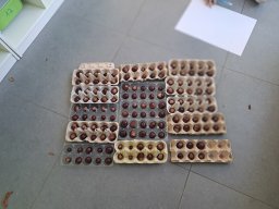 1000145519