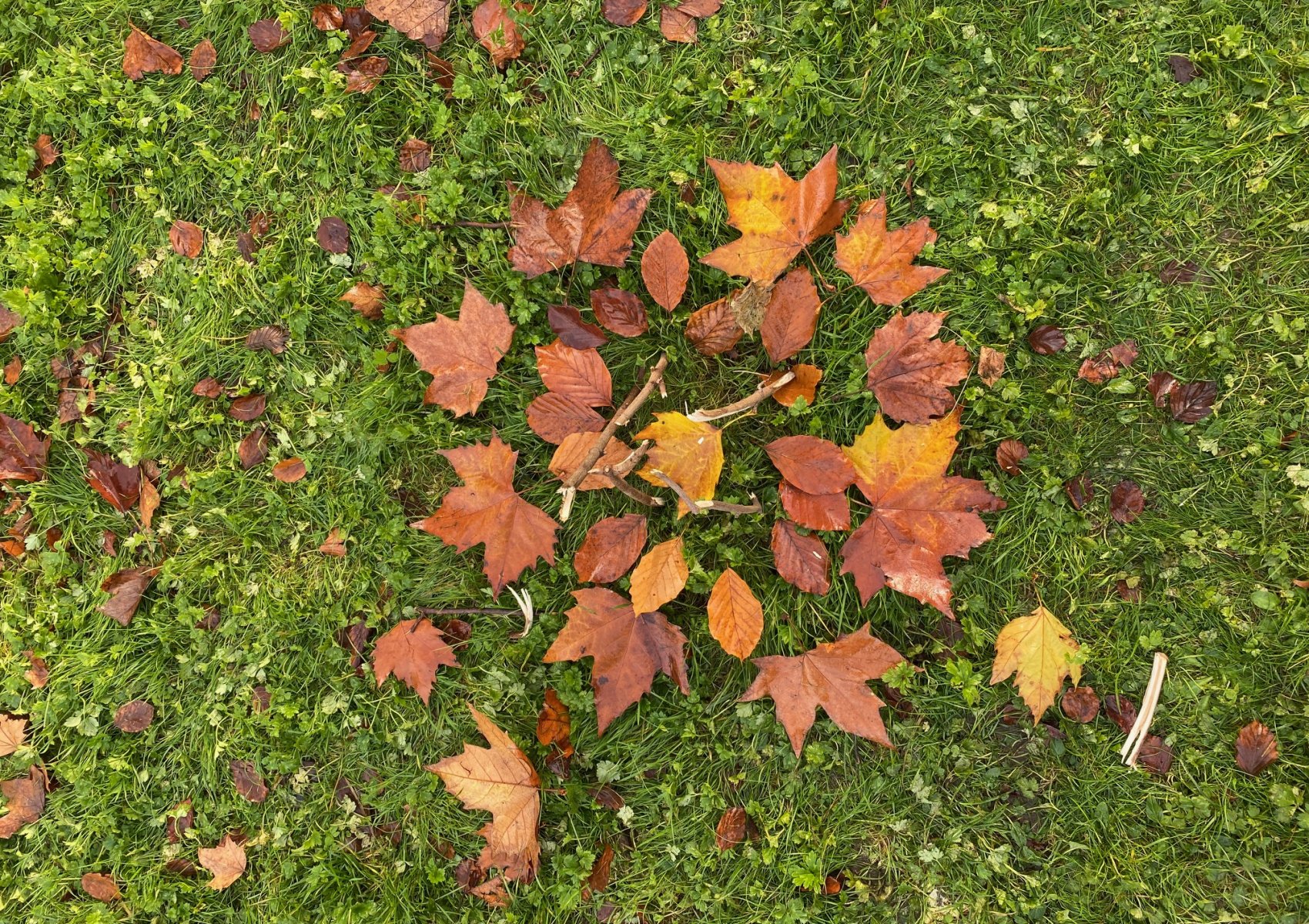 img_2661