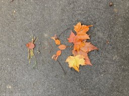 img_2720