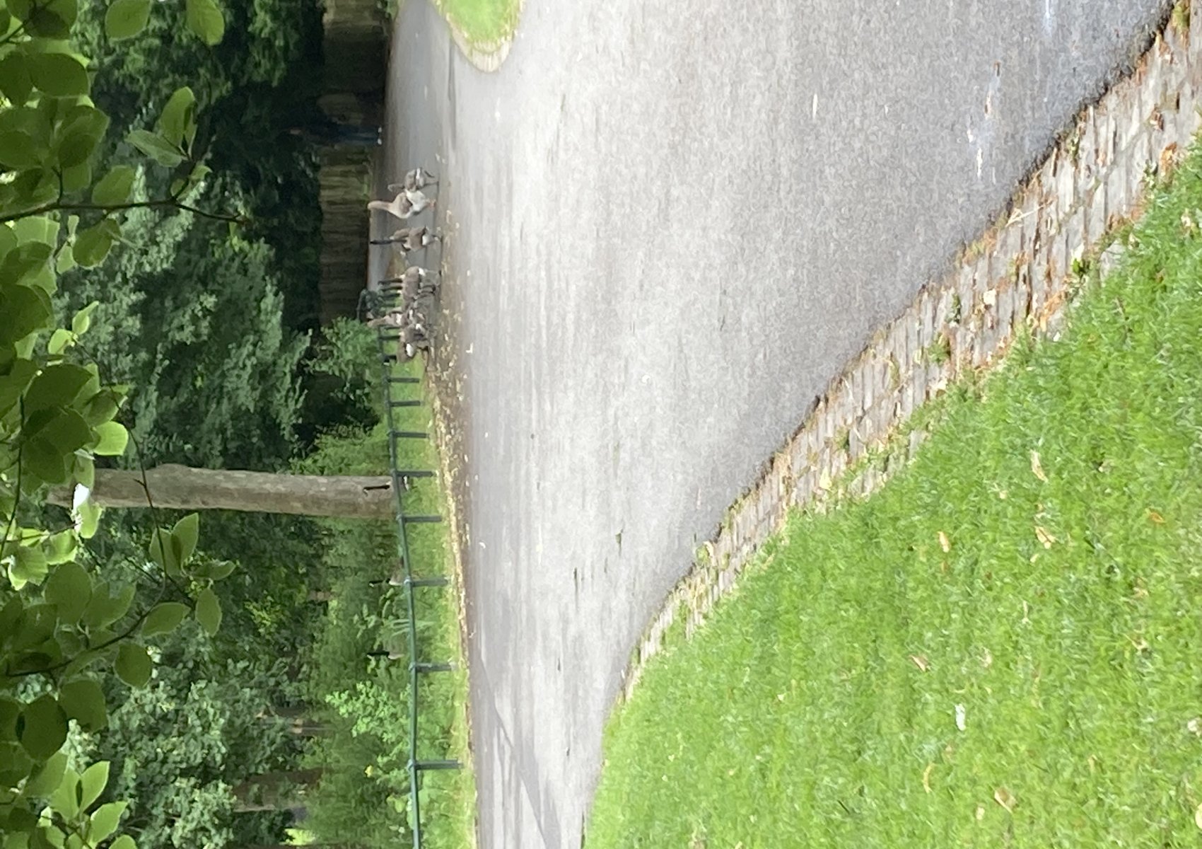 image00009