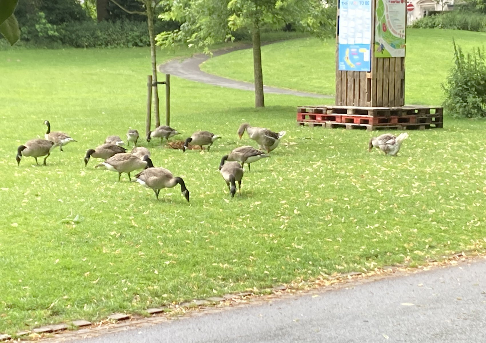 image00011
