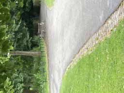 image00009