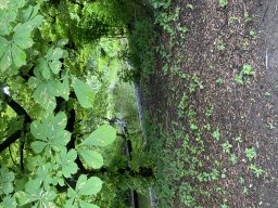 image00018