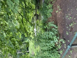 image00022