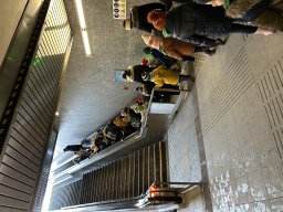 img_6019