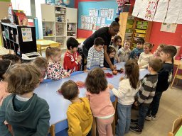 Activités Carnaval - M3A 