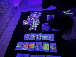 img_0429