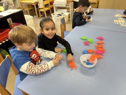 img_2835