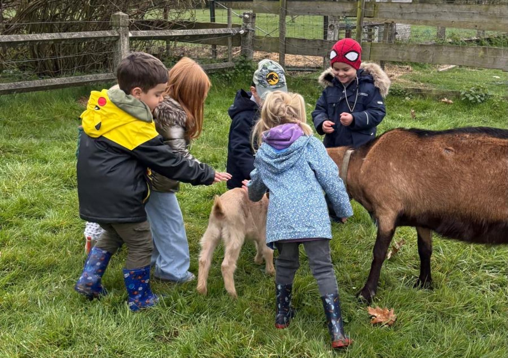 2a3bf7f9-ab38-4015-a990-80279b753d6d