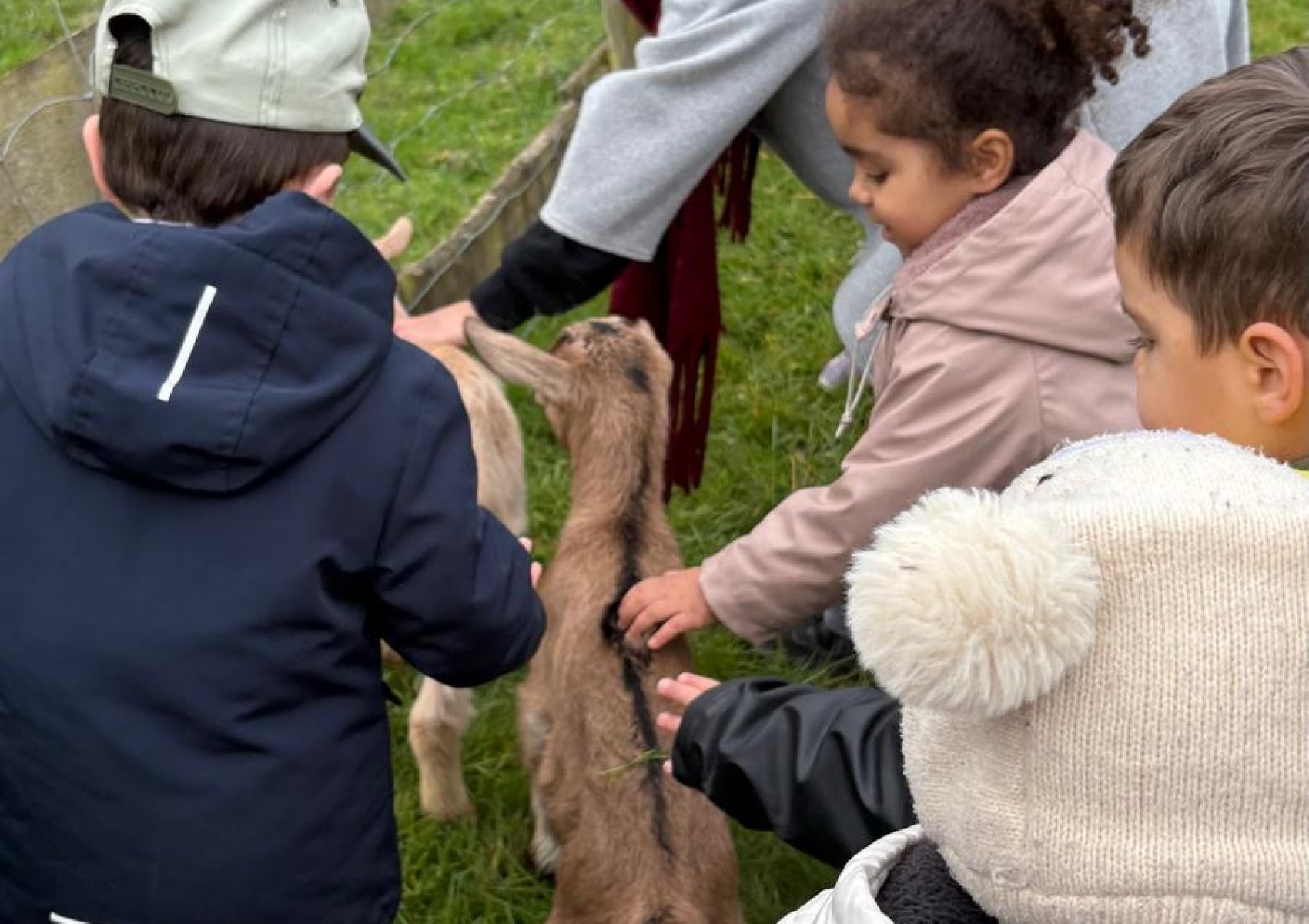 60ad760a-bc2d-4a8b-8514-0c62a881b82f