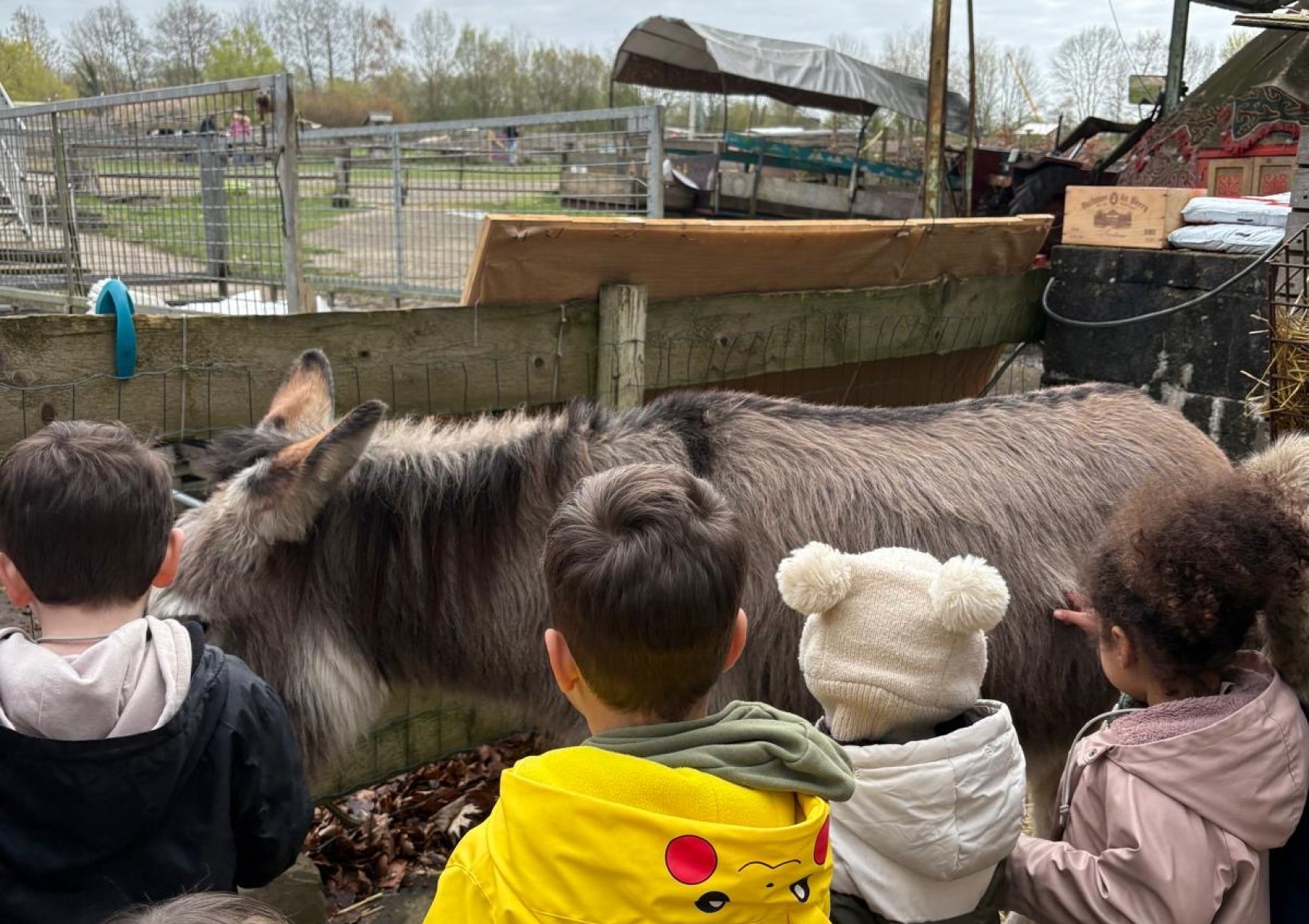 e306e458-06d8-4cee-8d8f-e47a0ec260d9