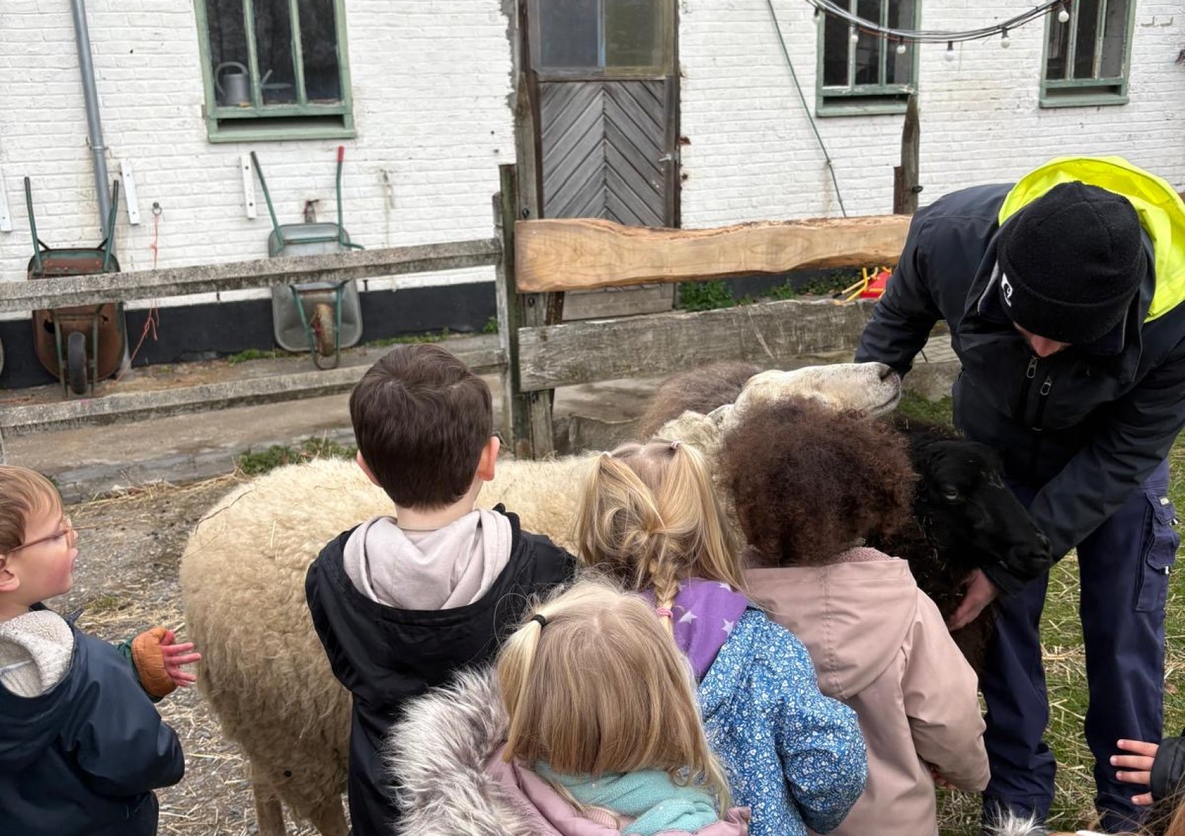 e8687245-3f46-4967-acb9-72142e451922