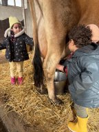 d2e68c74-2ff5-49b1-bd5f-3d696a7e00b2