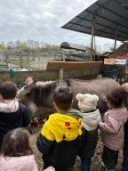 e306e458-06d8-4cee-8d8f-e47a0ec260d9