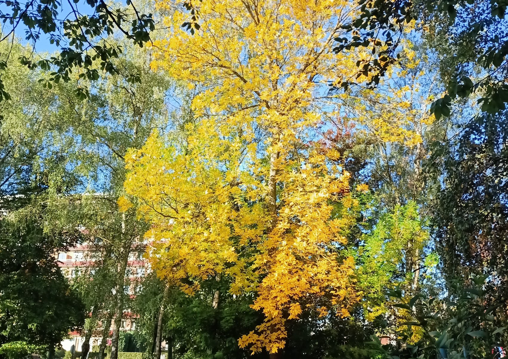 img20221006094545