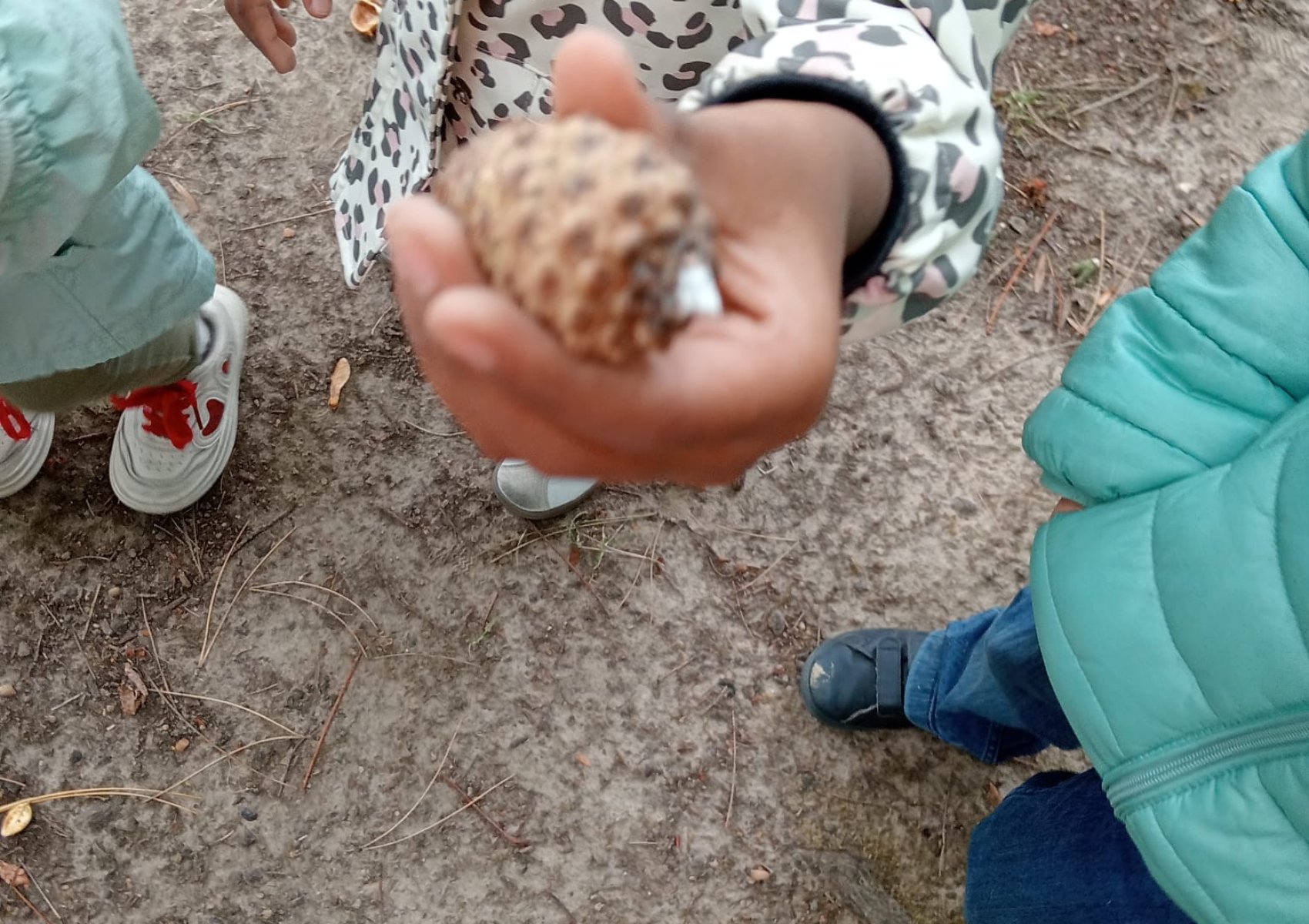 img-20250921-wa0010