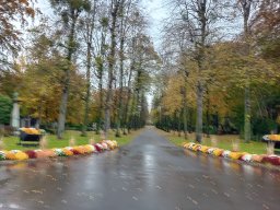 img-20231112-wa0028