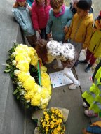 img-20241111-wa0050