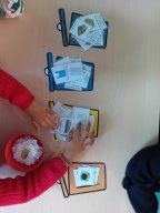 img-20241124-wa0028