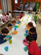 img-20250401-wa0036