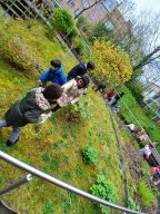 Les Champis au home - avril 26