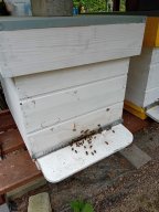 img-20240414-wa0017