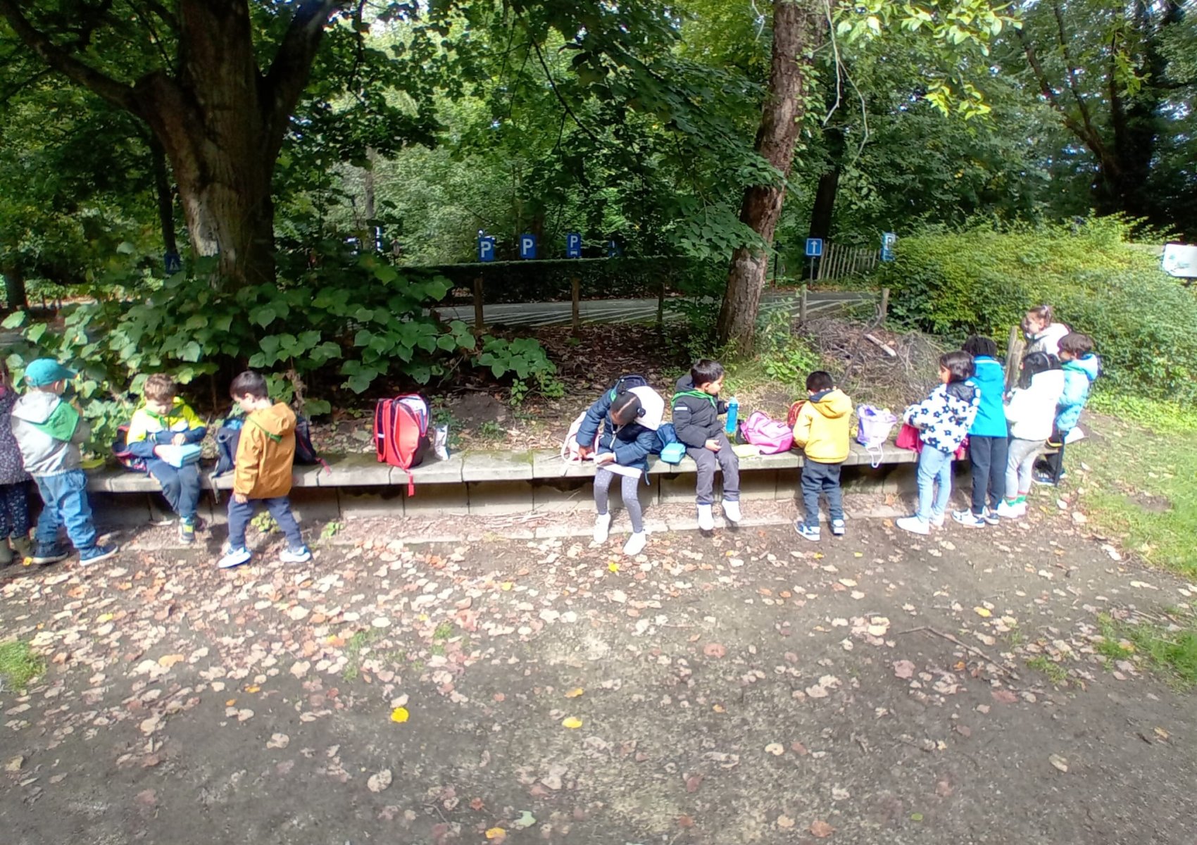 img-20240914-wa0048