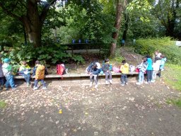 img-20240914-wa0048