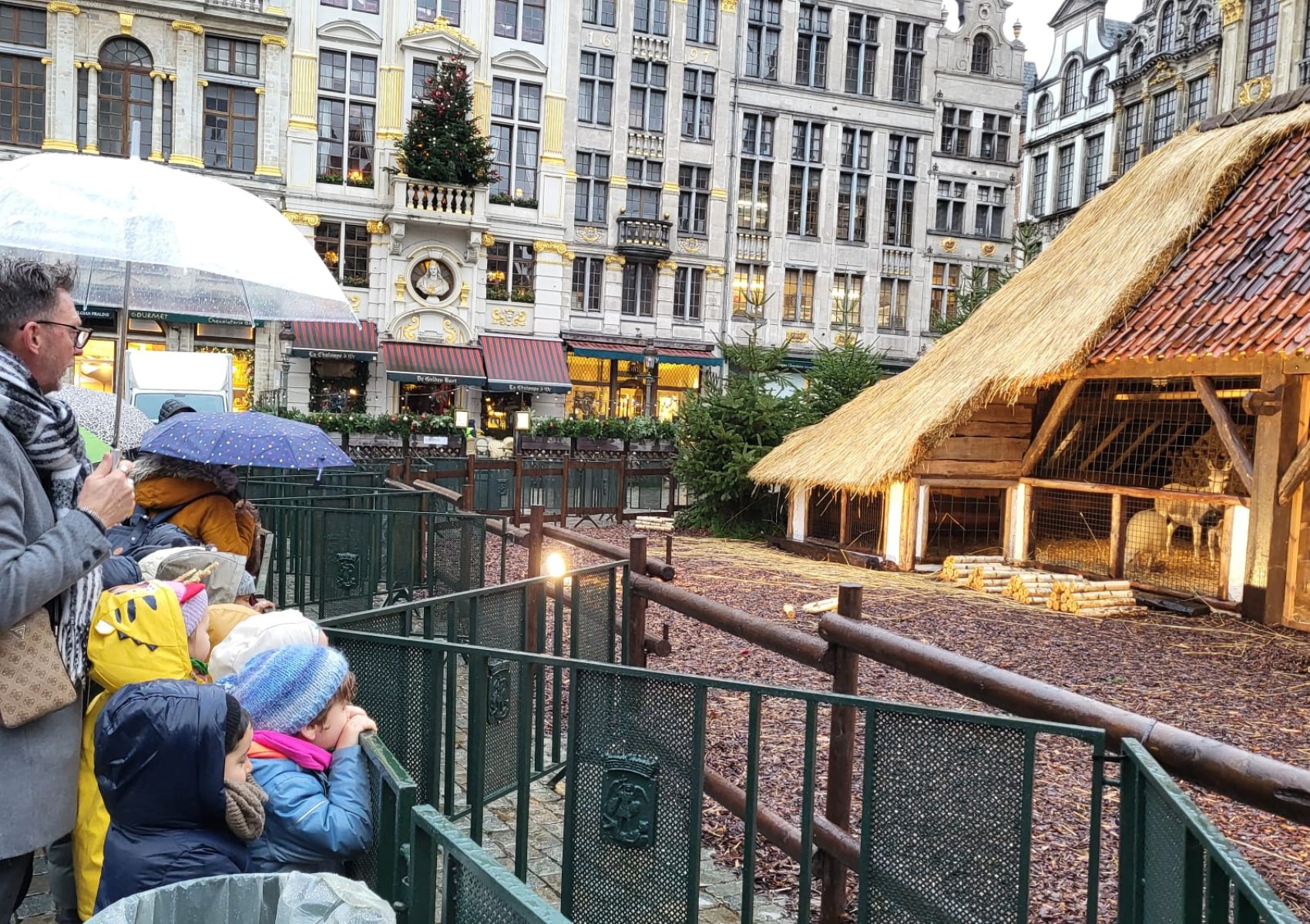 img-20241219-wa0053