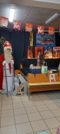 img-20231207-wa0005