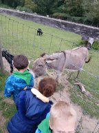 img-20250921-wa0106