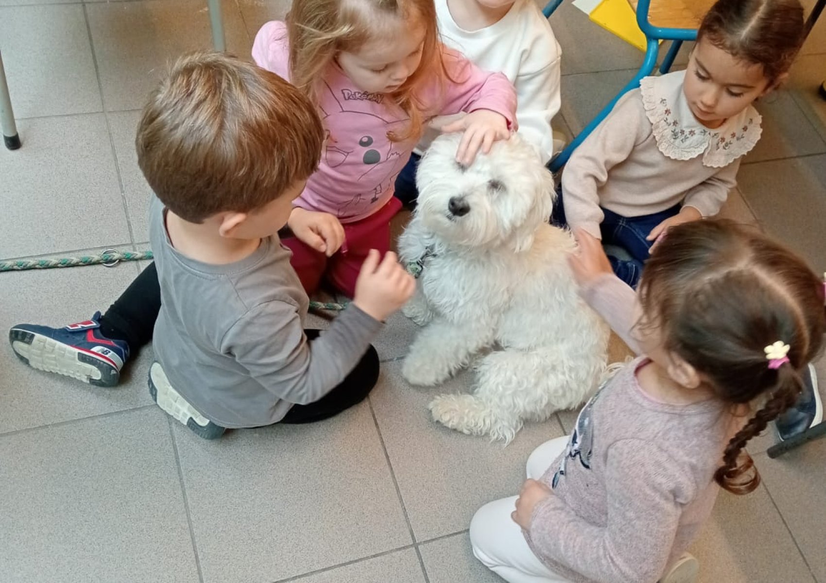 img-20250927-wa0007