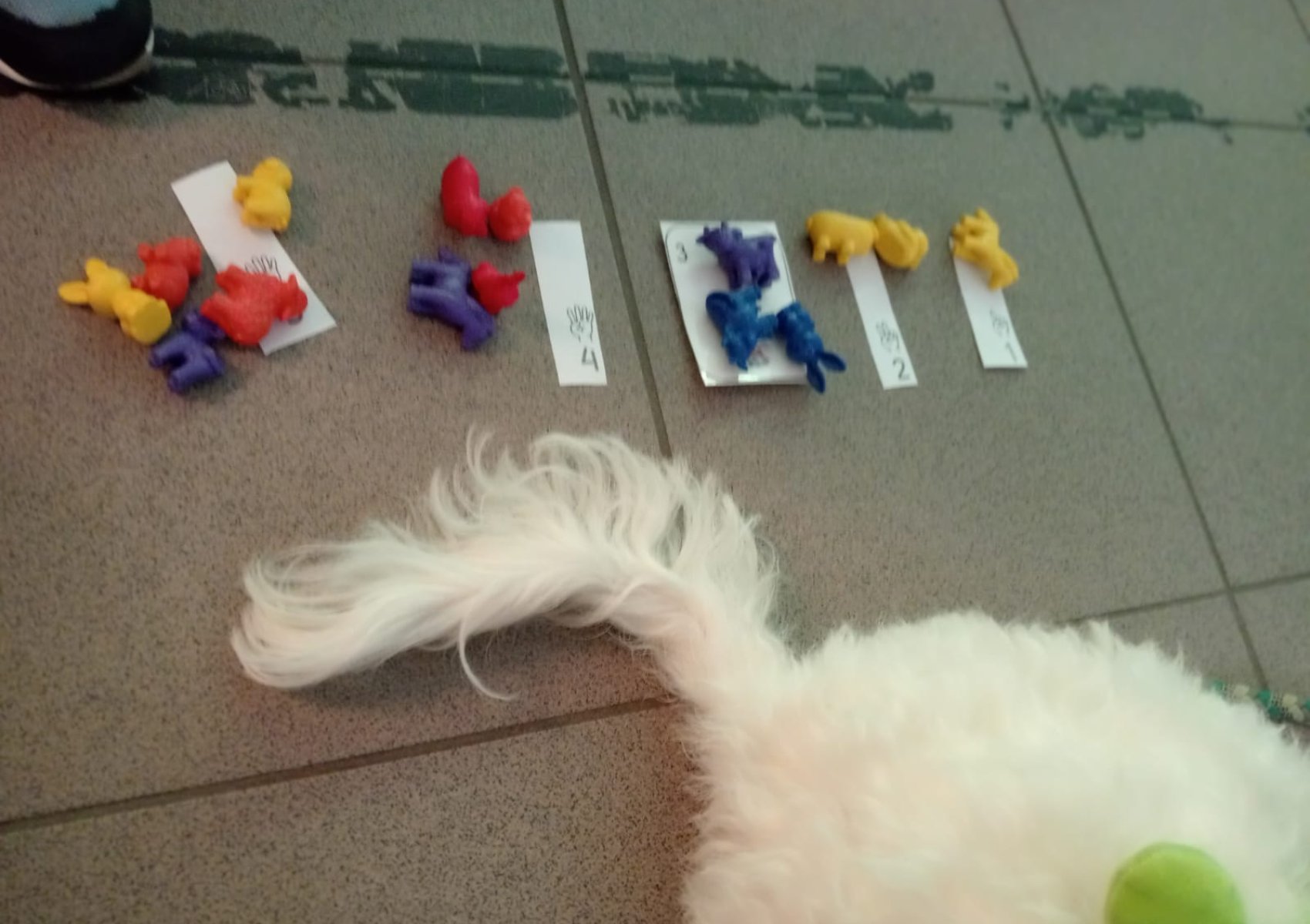 img-20250927-wa0014