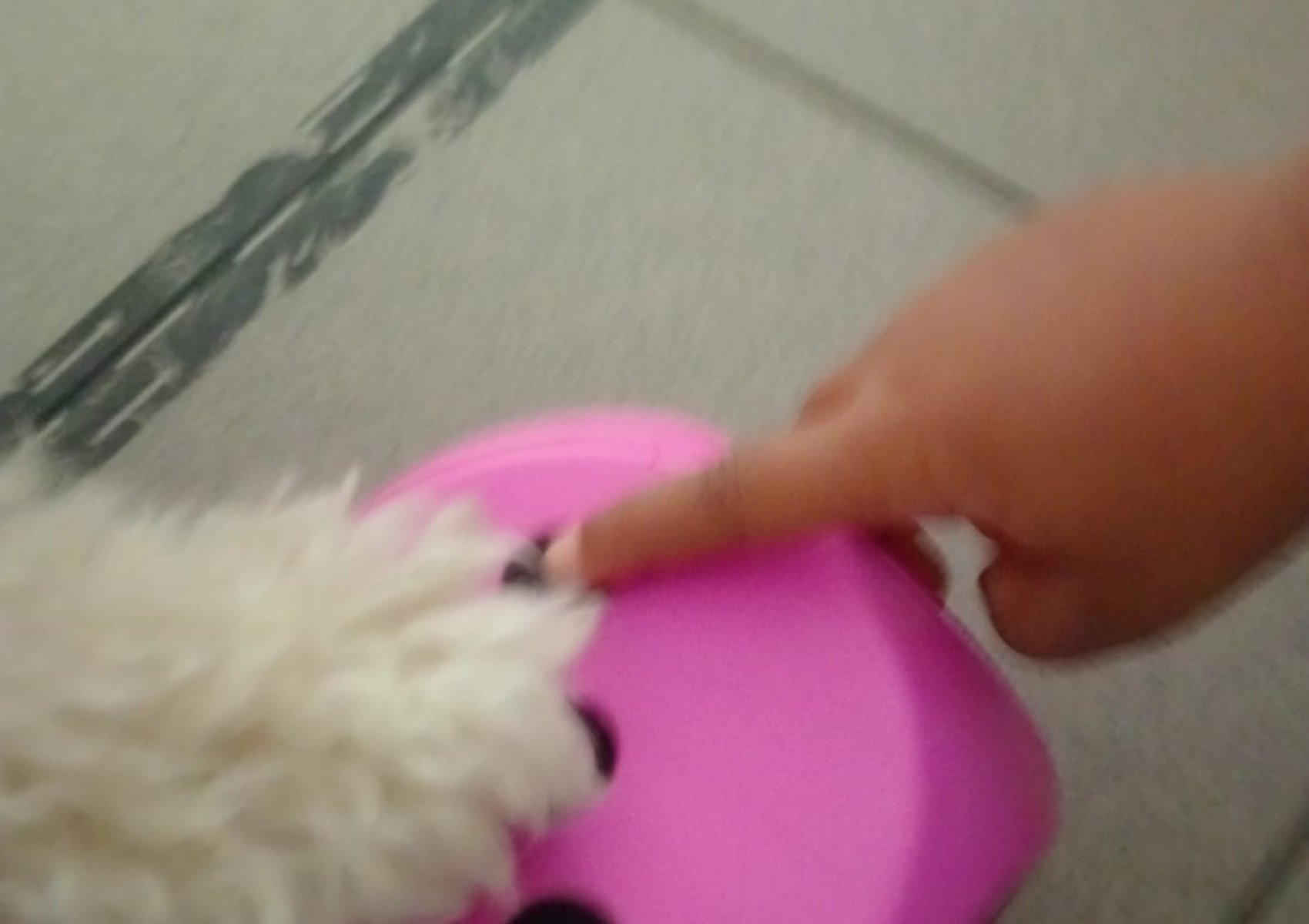 img-20250927-wa0015