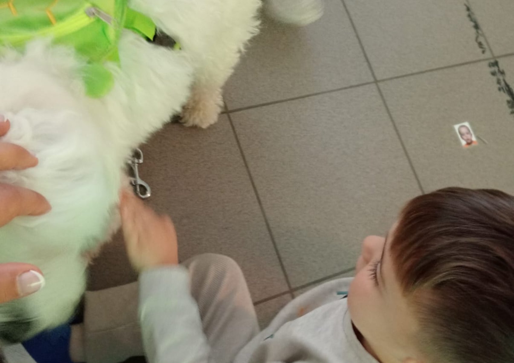img-20250927-wa0019