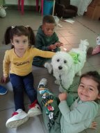 img-20250927-wa0008