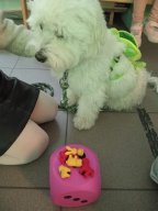 img-20250927-wa0011