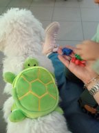 img-20250927-wa0012