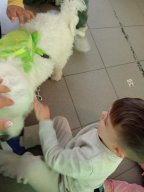 img-20250927-wa0019