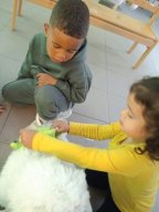 img-20250927-wa0023